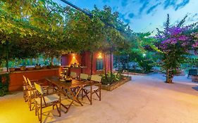 House Bougainvillea